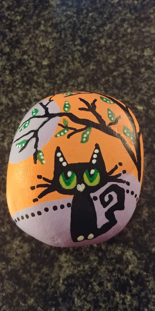 Quirky Cat